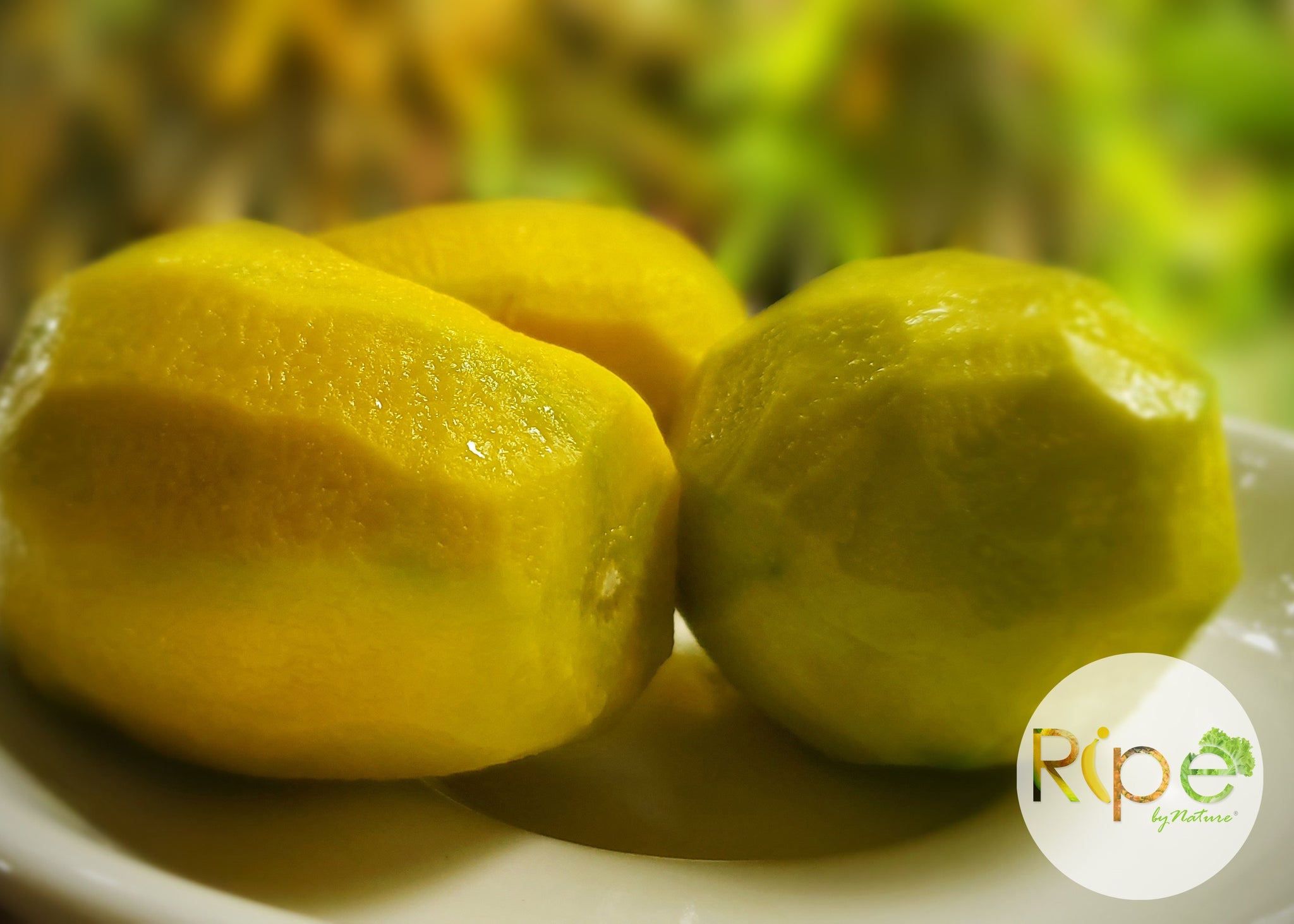 June Plum (Jew Plum) – Ripe by Nature Farms