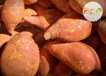 Load image into Gallery viewer, Sweet Potato
